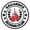 cropped-GALLARBOX_logo-1.png